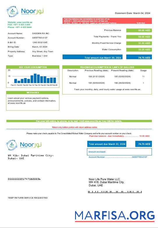 Printable UAE Noor Life Pure Water LLC business utility bill template in Word and PDF formats